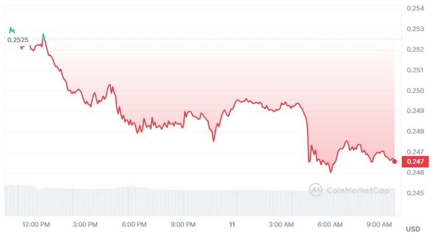 cardano cours