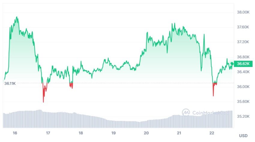 coinmarketcap
