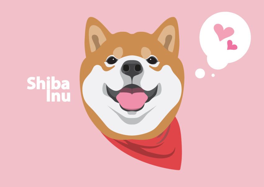 Vous avez raté l’ascension de Shiba Inu ? Cette crypto-monnaie vise à reproduire son succès