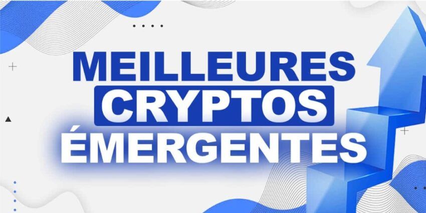 Crypto-monnaies émergentes : quel avenir pour elles en 2024 ?