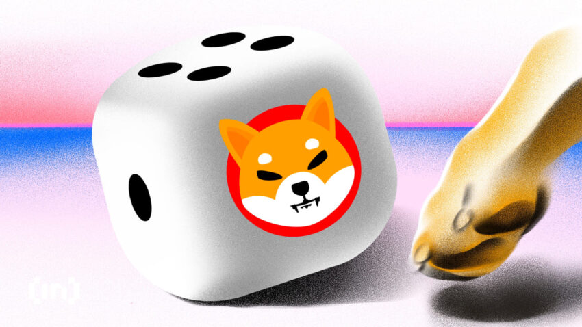 shiba inu