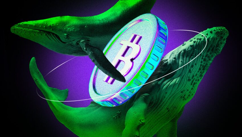 baleines btc