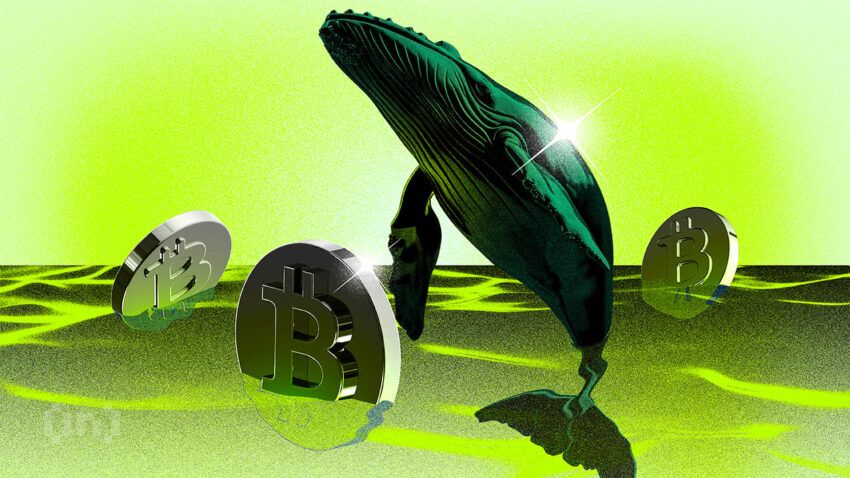 Bitcoin : Alors que tout le monde panique, les baleines achètent tranquillement