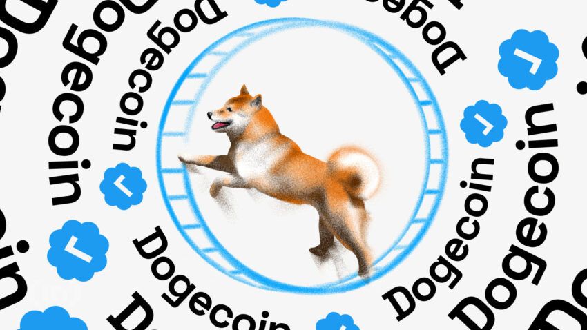 Le Dogecoin : meme coin le plus rentable du moment !