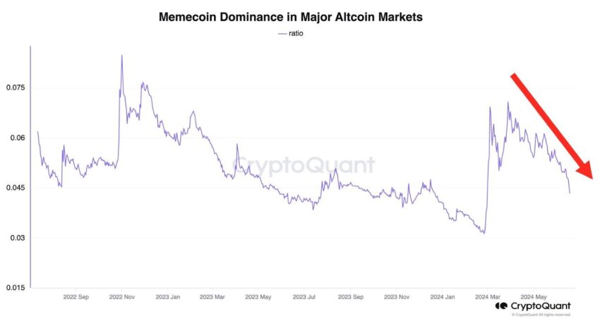 meme coins