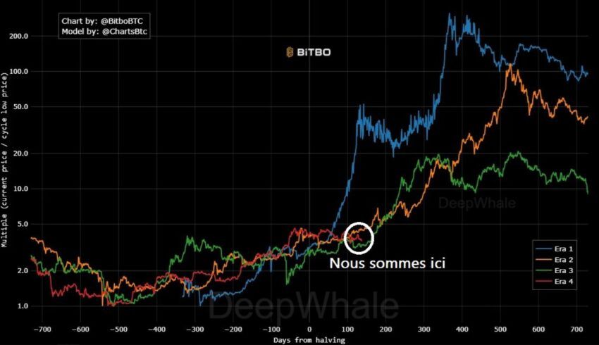 btc