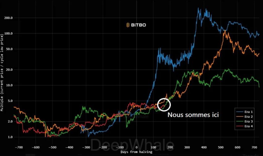 bull run