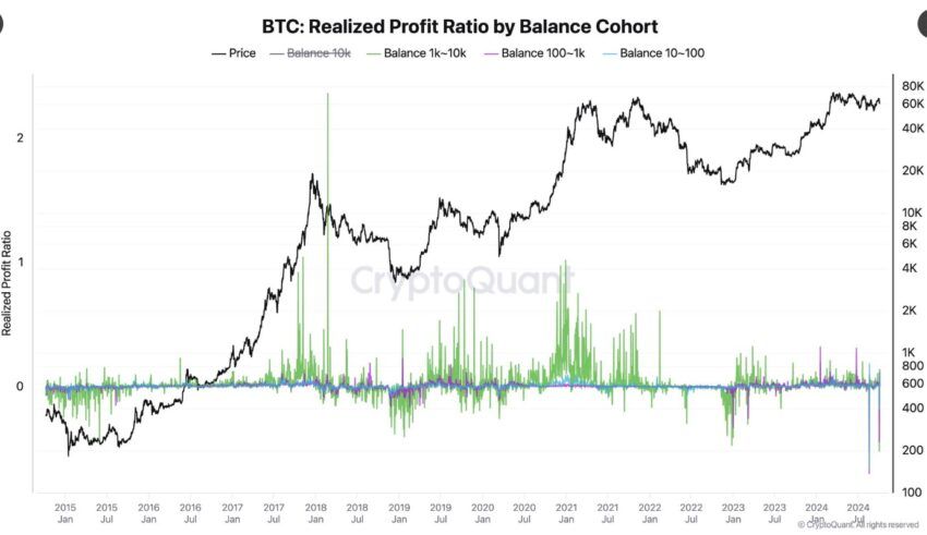 baleines bitcoin