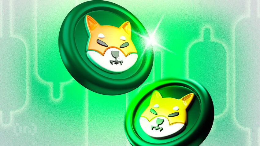 shiba inu