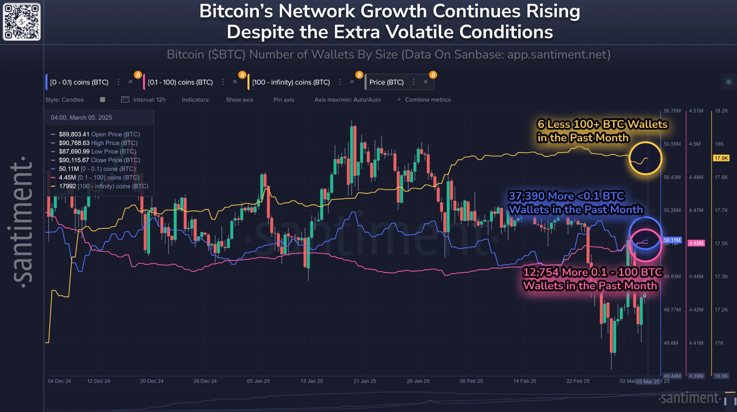 Détenteurs STH de Bitcoin