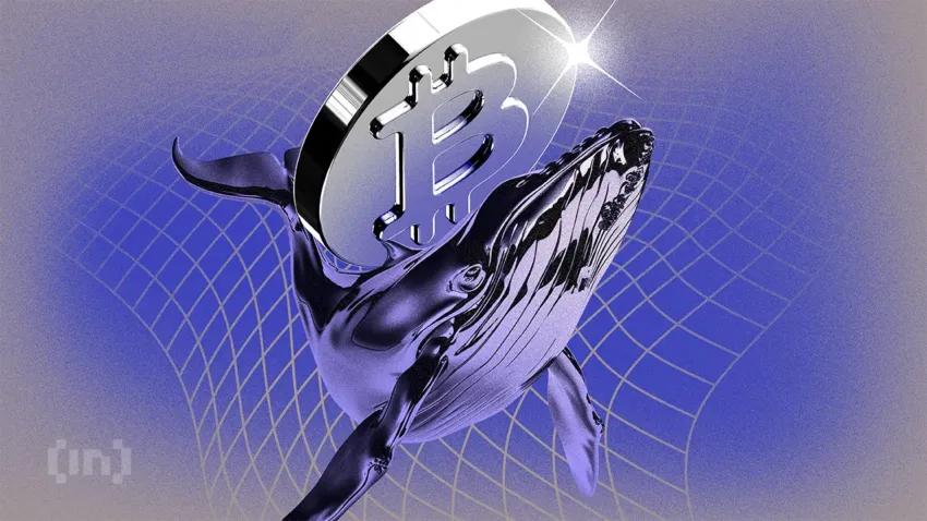 Les baleines Bitcoin