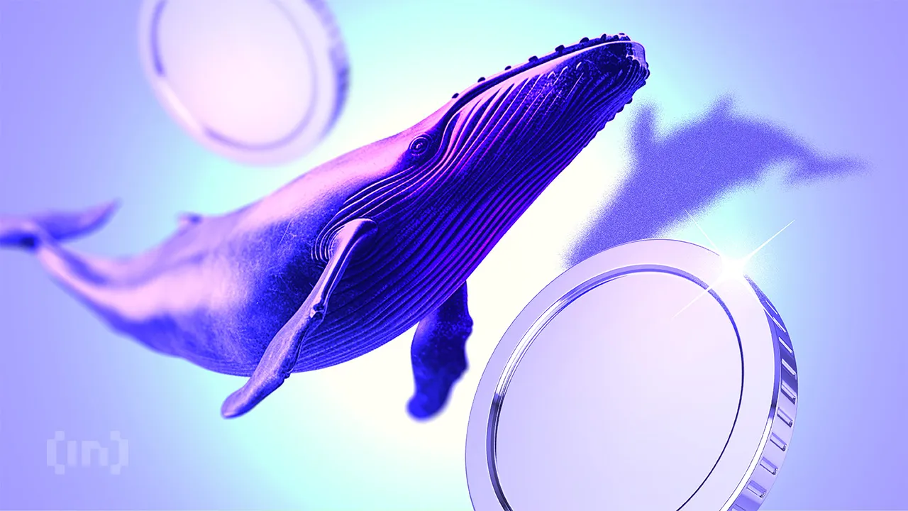Les baleines crypto carburent : voici les derniers achats !