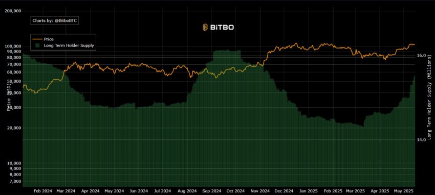 holders btc