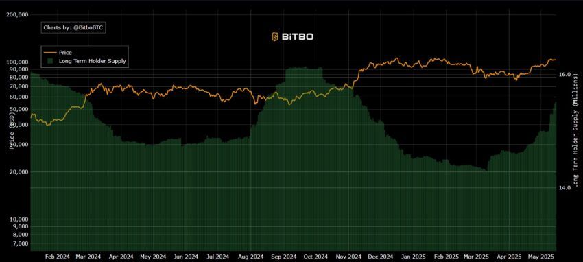 holders btc