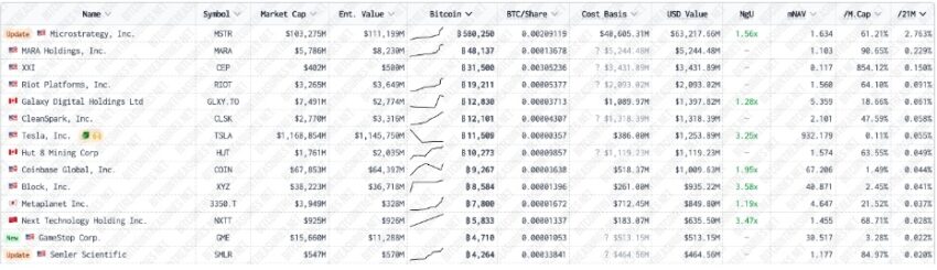 holders de bitcoin