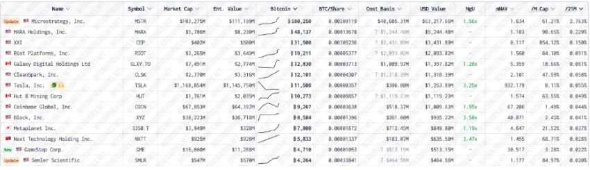 holders de bitcoin