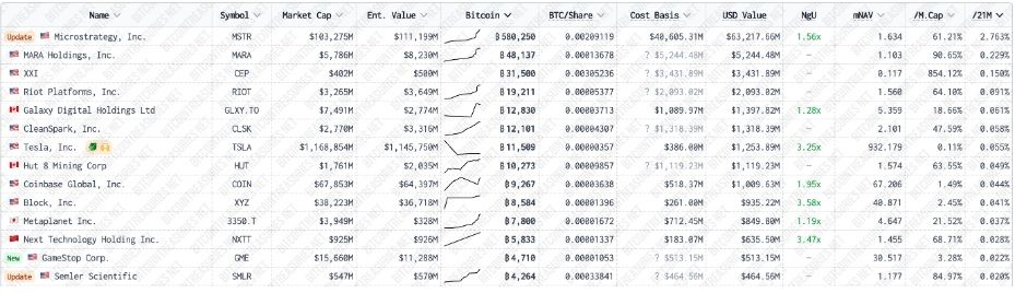 holders de bitcoin