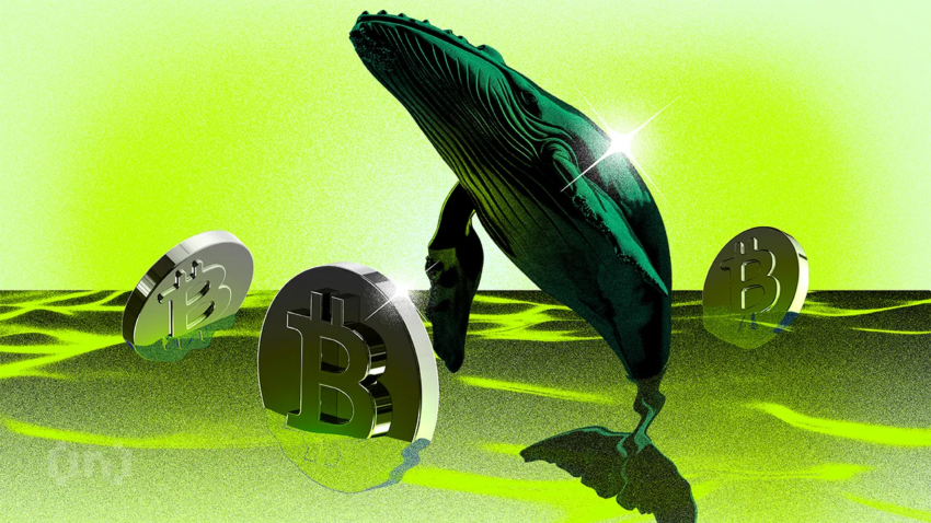 Les nouvelles baleines Bitcoin détiennent plus de jetons que les anciennes