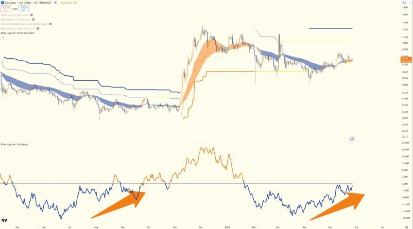 Cardano