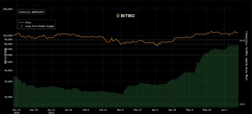 Bitcoin holders