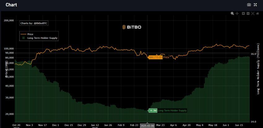 holders bitcoin