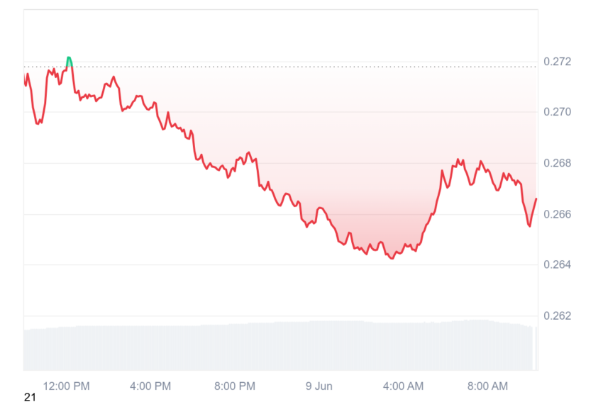 cours xlm
