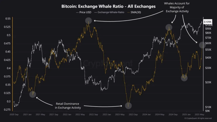 ratio des baleines bitcoin