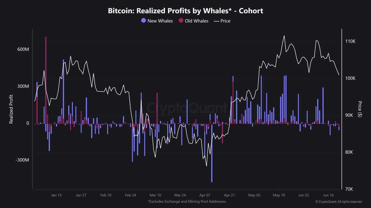profit des baleines Bitcoin