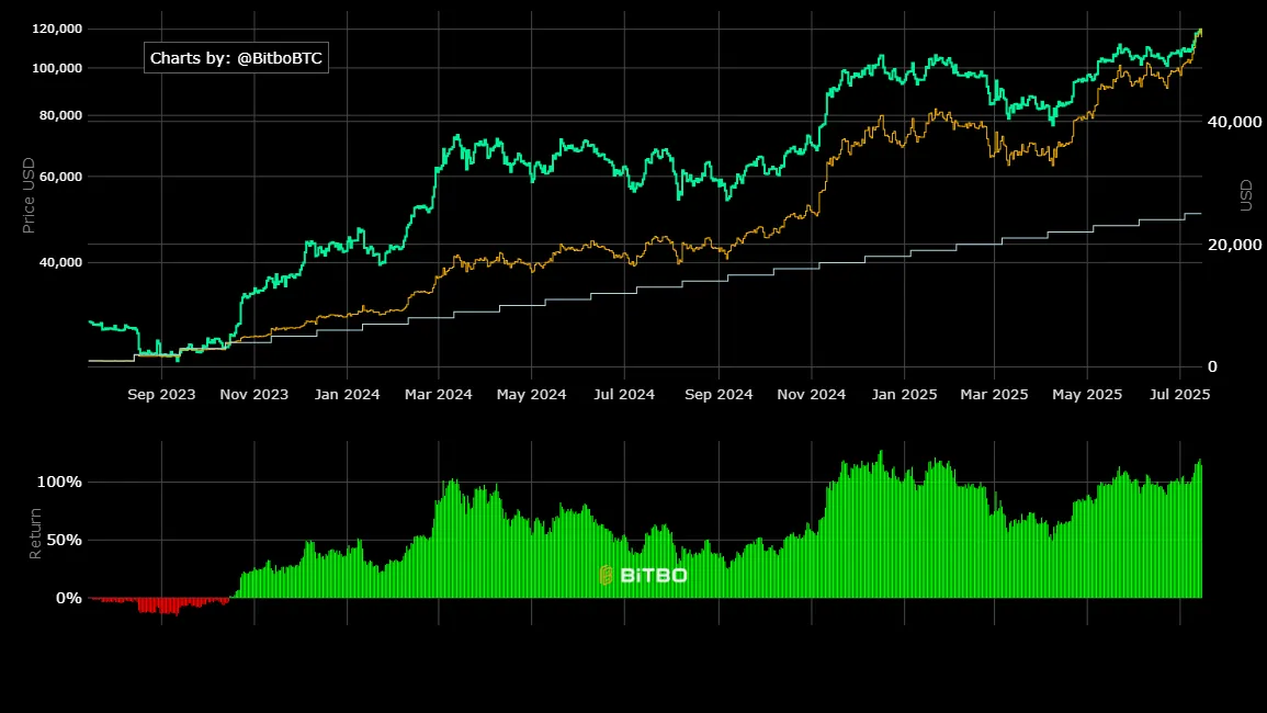 Performance mensuelle de l'investissement régulier avec 1 000 dollars dans Bitcoin. Source : Bitbo