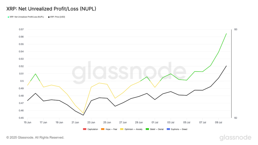 xrp nupl