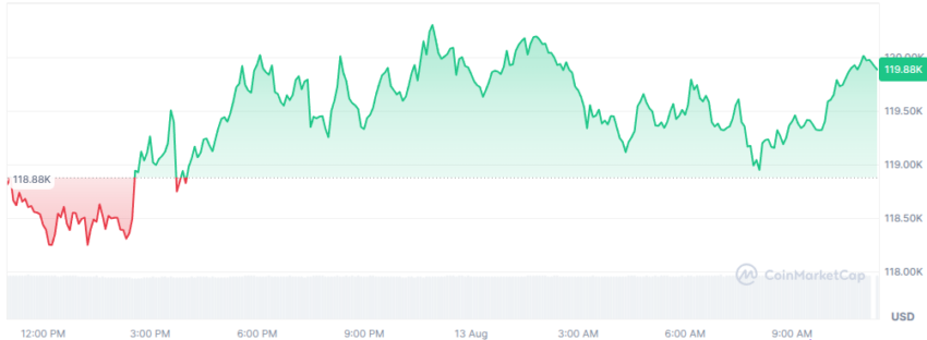 le cours du btc