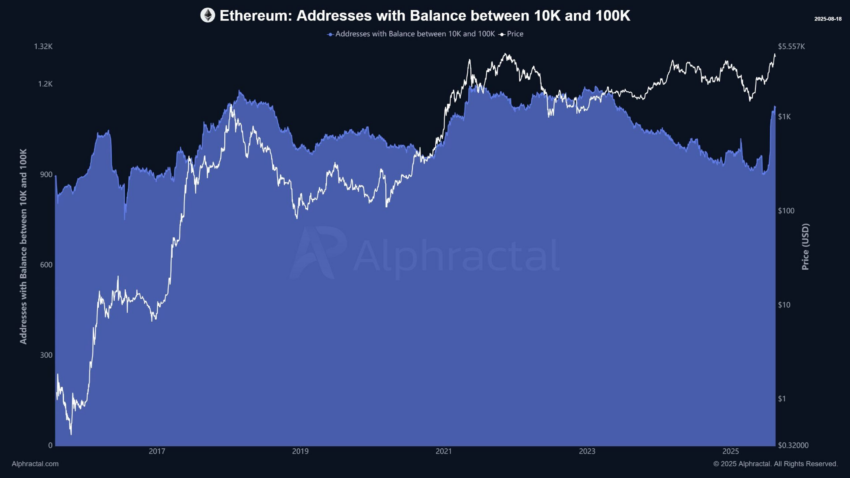 requins ethereum