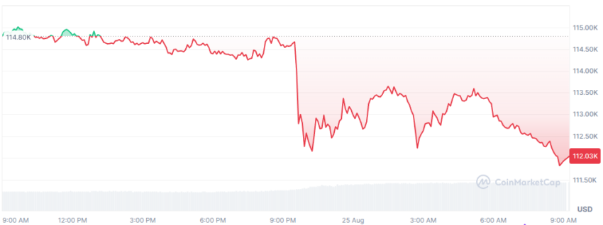 le cours du btc