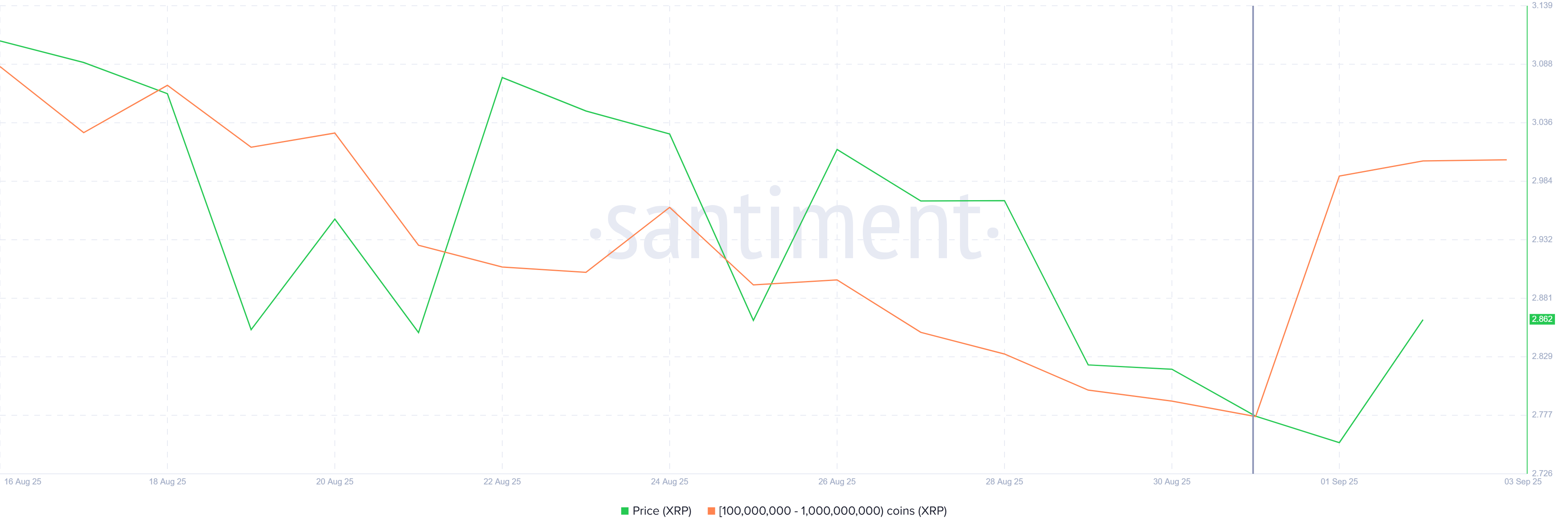 Actifs des baleines xrp